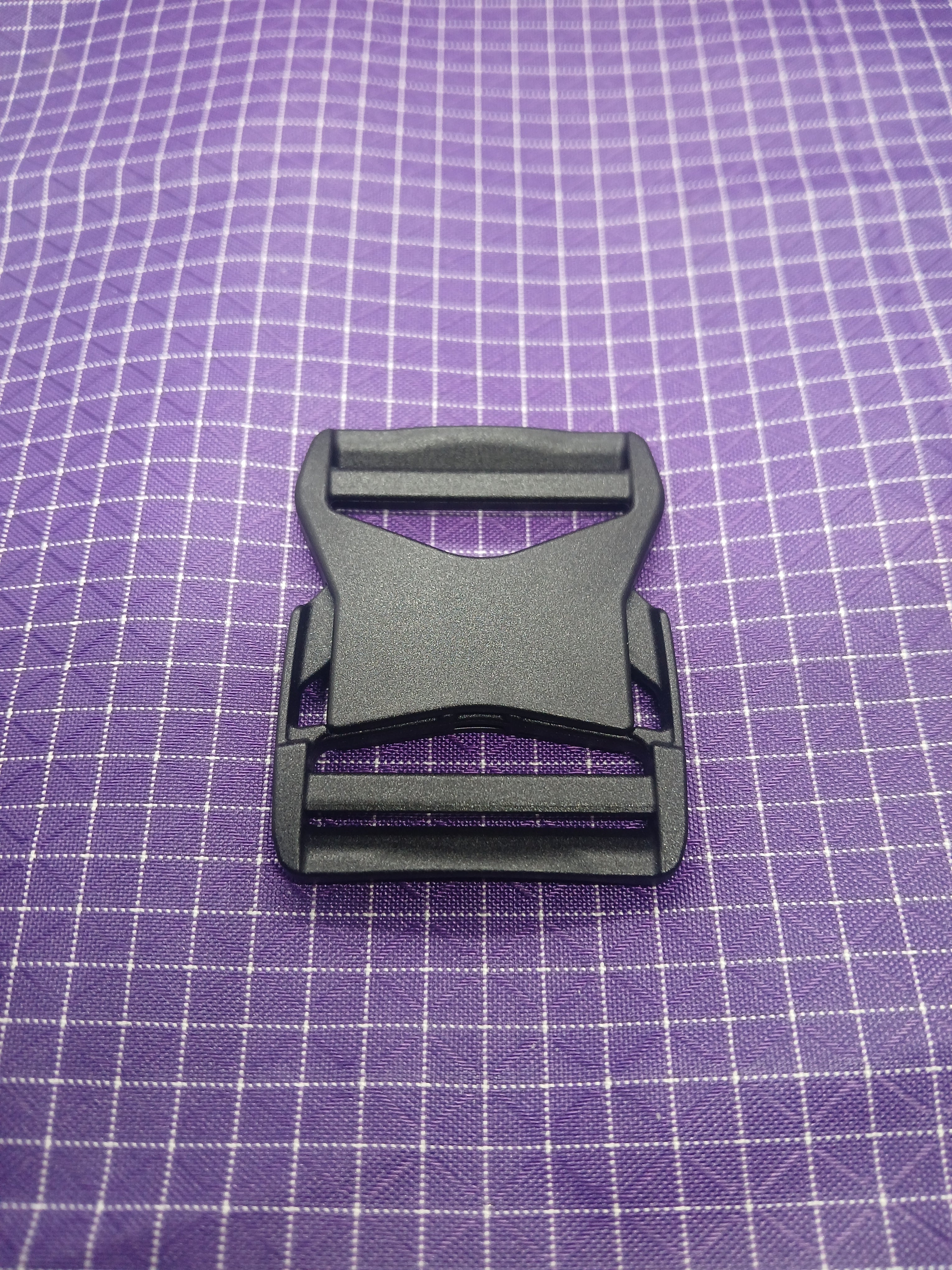 Dual Lite Lion Buckle